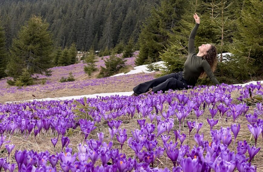 Крокуси на Кукулі з готелем